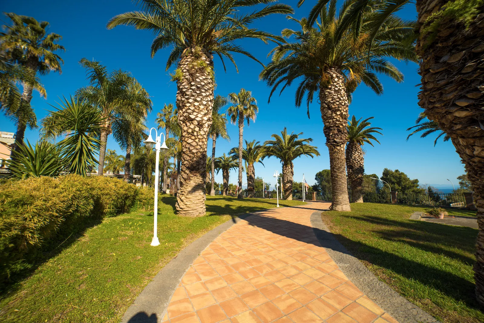 Il vialetto in pietra lavica del parco, tra le palme, con il prato che corre verso il mare