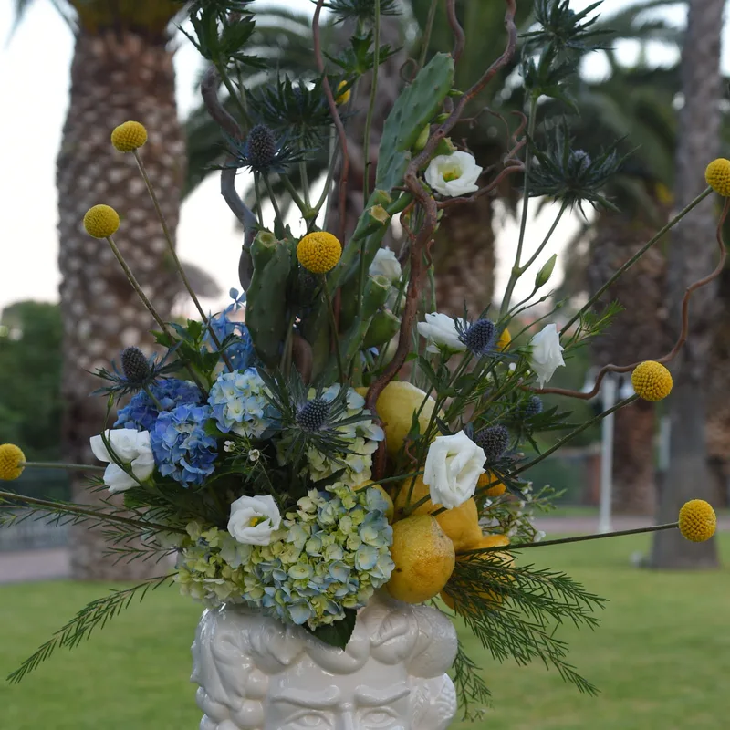 Testa di moro bianca con fiori sul prato